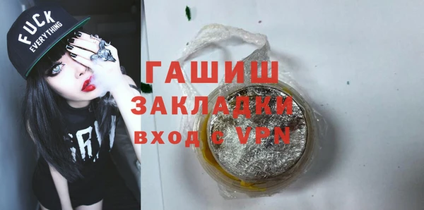 индика Апатиты