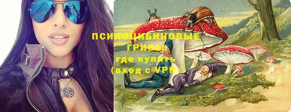 бошки Анива