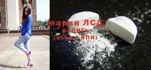 индика Апатиты